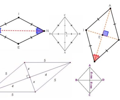 example of Rhombus